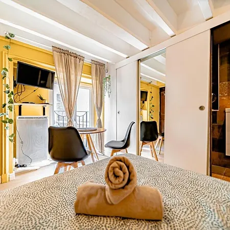 Warm And Well-appointed Foch Massena District ליון